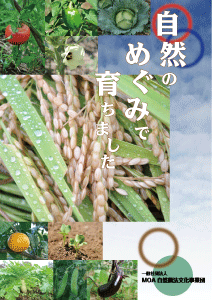 ○○○○○○○○イメージ